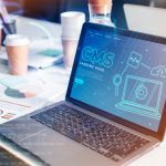 Headless CMS: cuándo usarlo en proyectos empresariales